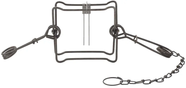 Duke #420 body grip trap with springs and chain.