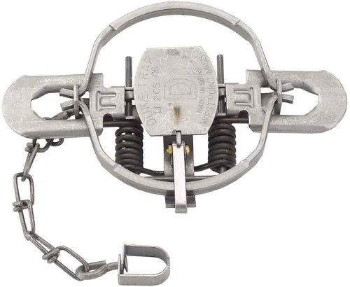 Duke #2 CS OS offset-jaw trap, model 0491, shown open with twin springs and an attached chain.