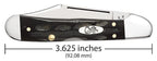 Case Jigged Buffalo Horn Mini CopperLock knife showing 3.625-inch closed length