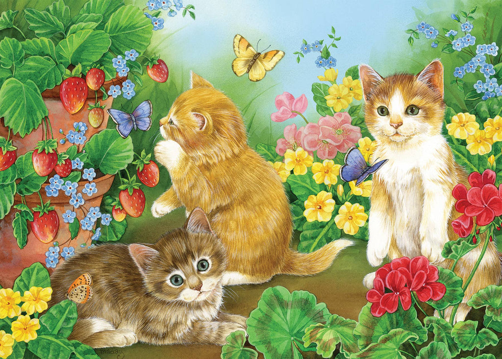 Kitten Playtime (tray)