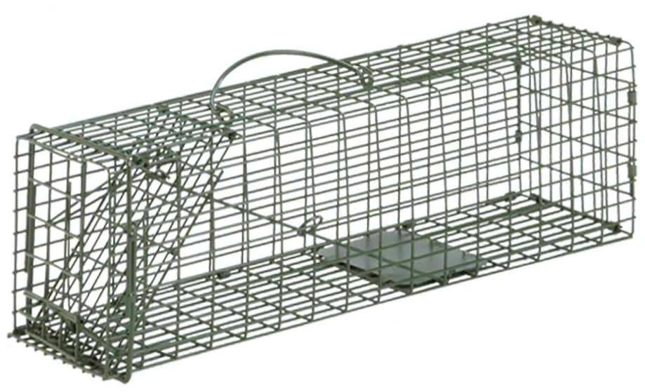 Galvanized wire cage trap with carrying handle.