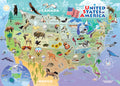USA Map (tray)