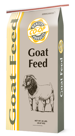 Co-op Goat Feed 50 lb bag with a goat illustration and yellow, gray, and white packaging.