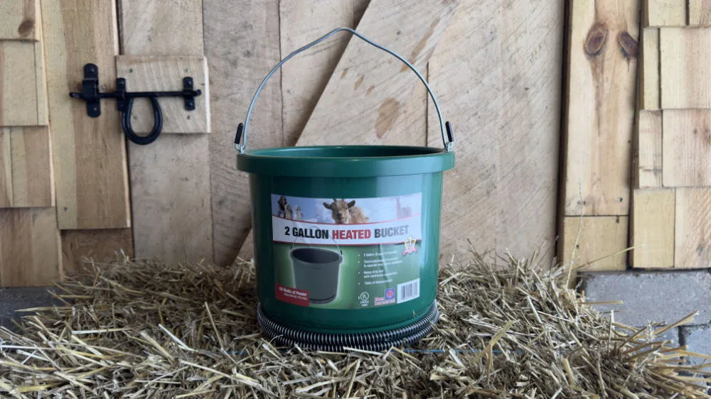  Green heated bucket with metal handle on hay