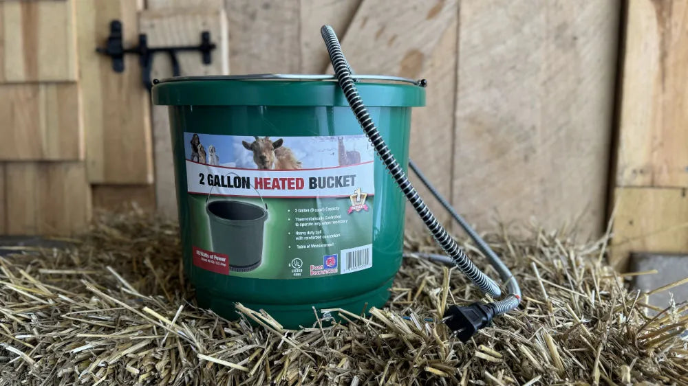Green heated bucket with electric cord on hay