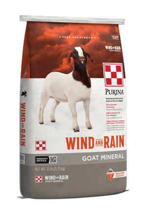 Front of Purina Wind and Rain Goat Mineral bag