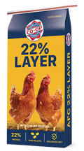 Yellow and navy Co-op 22% Layer feed bag featuring two brown hens, labeled 50 lb, 22% protein, and mini pellets.