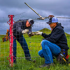 Close-up of Gripple Plus Small joiner installed on fence wire