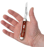 Case Disciple Chestnut Bone Mini Trapper pocket knife held in a hand with one blade open, showing its pocket size
