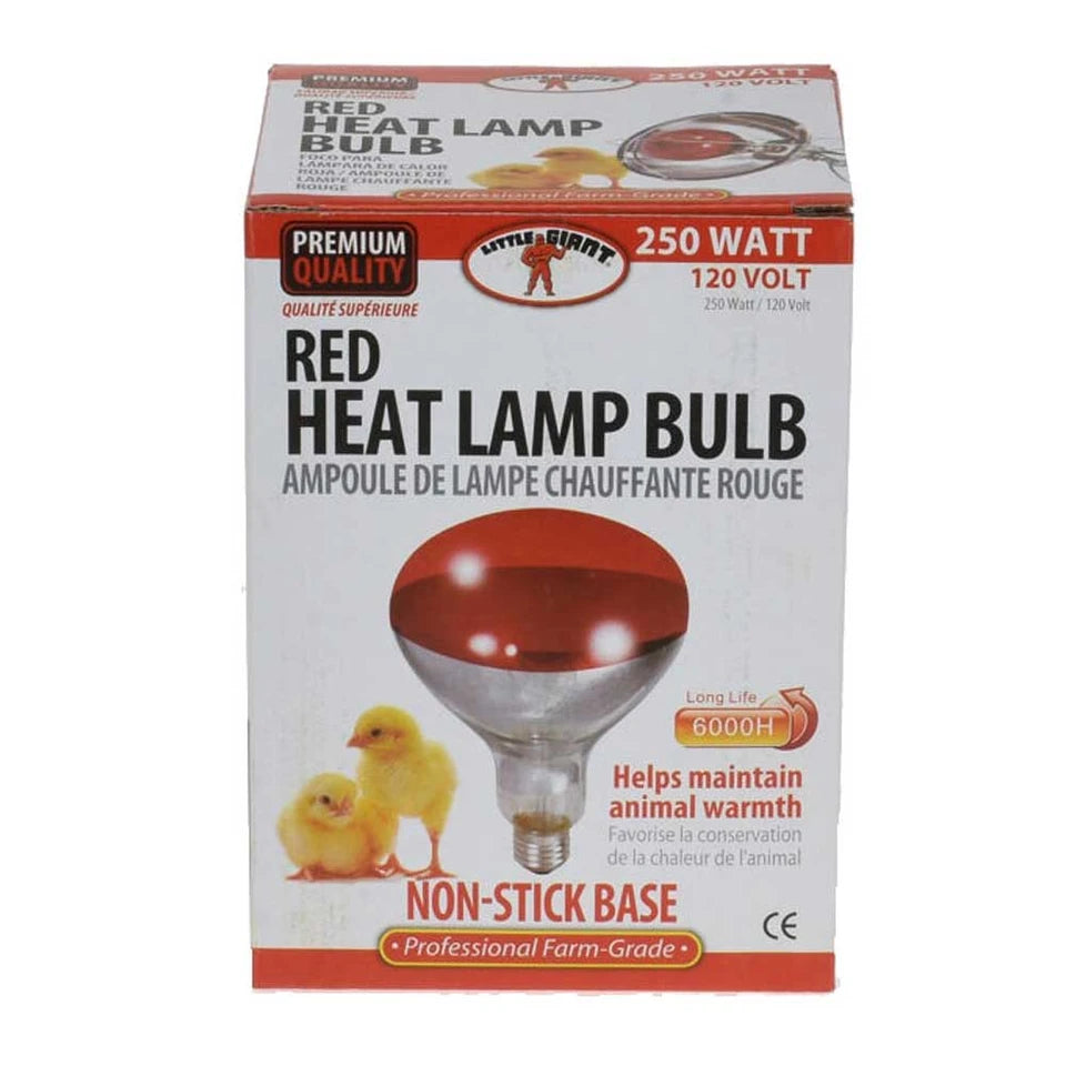 Miller Red Heat Lamp Bulb 250 Watt