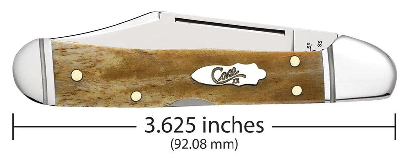Closed Case Smooth Antique Bone Mini CopperLock knife with 3.625-inch length measurement