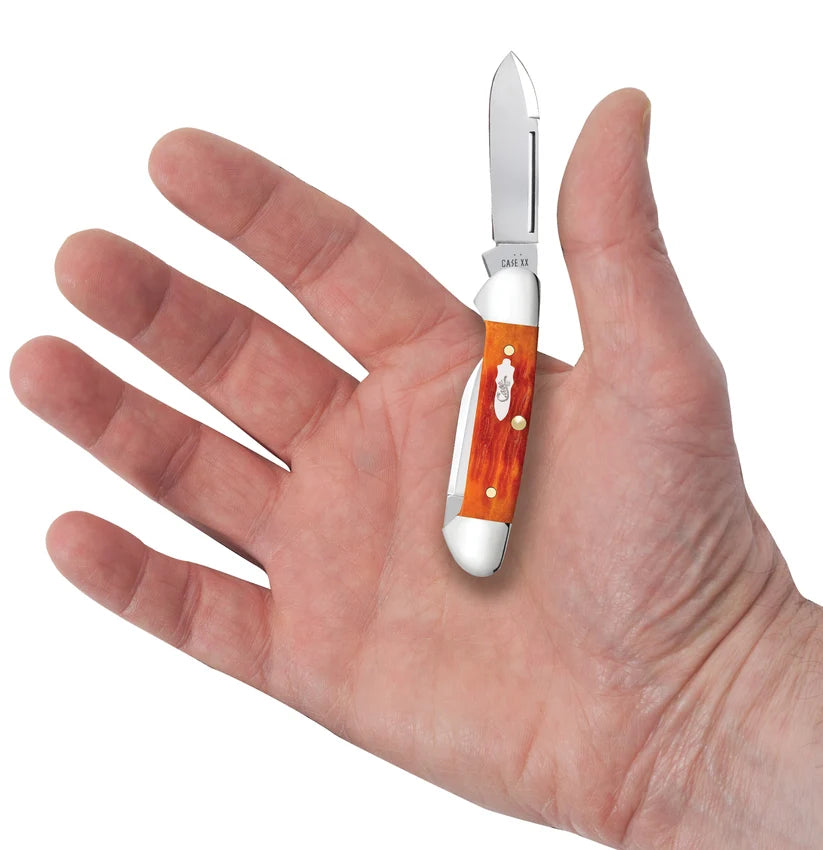 Case Tequila Sunrise Bone Baby Butterbean held in a hand to show its size