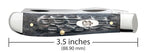 Case Gray Bone Mini Trapper pocket knife closed, with its length shown as 3.5 inches 