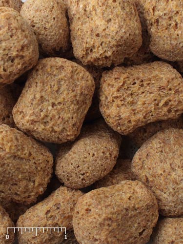 Close-up of tan Mazuri Monkey Crunch 20 primate biscuits with a size ruler.”