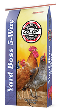 Co-op Yard Boss 5-Way poultry scratch feed in a 50 lb yellow and purple bag featuring chickens.⠋

