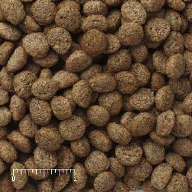 Close-up of Mazuri Kangaroo/Wallaby Diet feed particles beside a size ruler.”