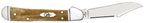 Side view of Case Smooth Antique Bone Mini CopperLock with Clip blade open