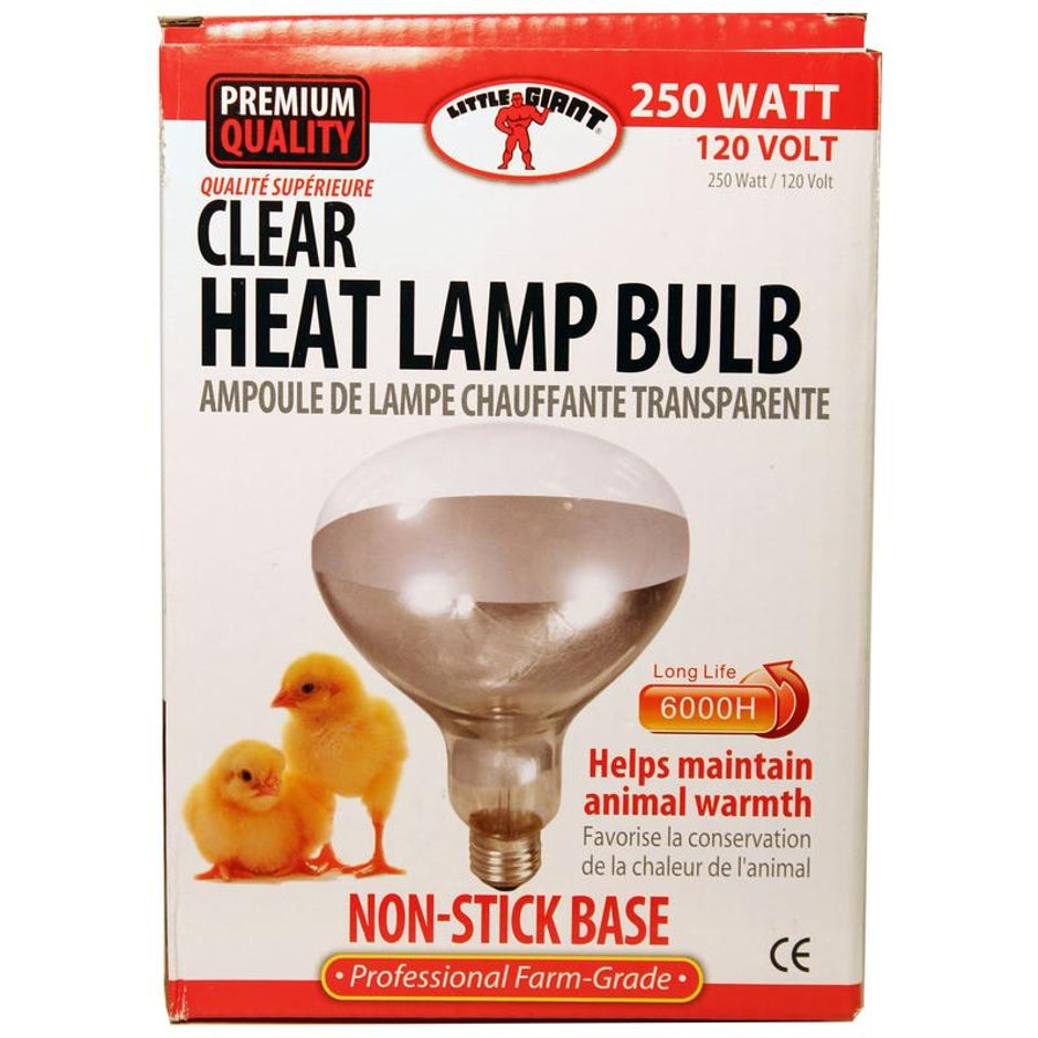Clear Heat Lamp Bulb 250 Watt
