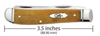 Closed Case Smooth Antique Bone Mini Trapper knife with 3.5-inch length measurement