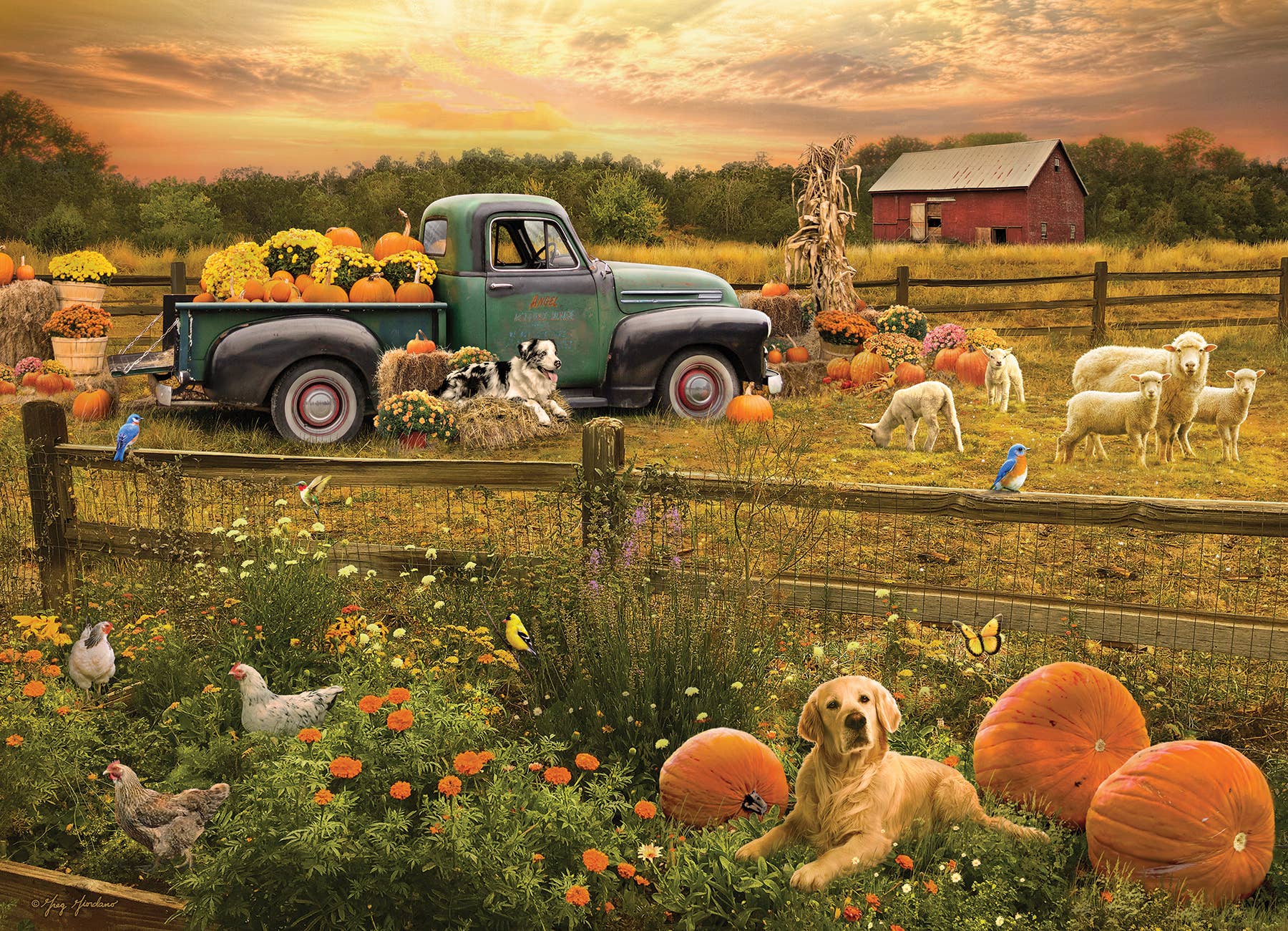 Harvest Time