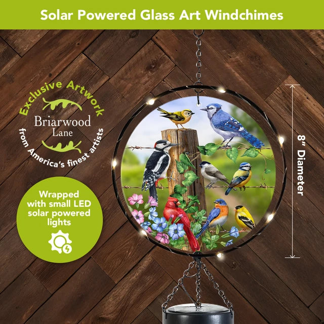 Close-up of Country Birds glass artwork surrounded by solar-powered LED lights, with an 8-inch diameter marked.