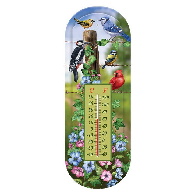 Main product photo: “Briarwood Lane Country Birds metal thermometer with colorful birds, flowers, and Fahrenheit and Celsius scales”