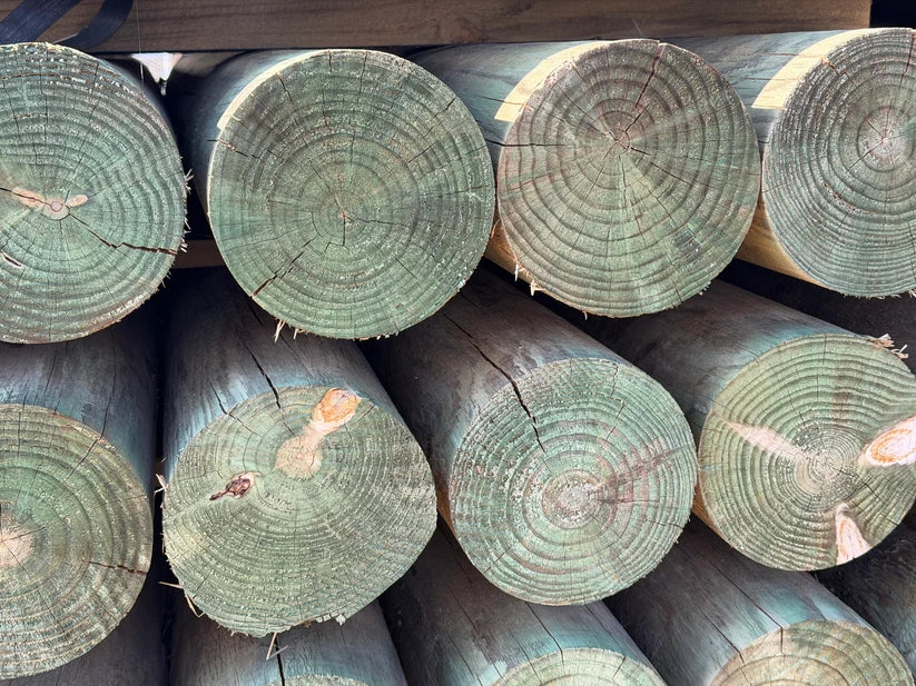 Stacked treated round wood fence posts showing cut ends