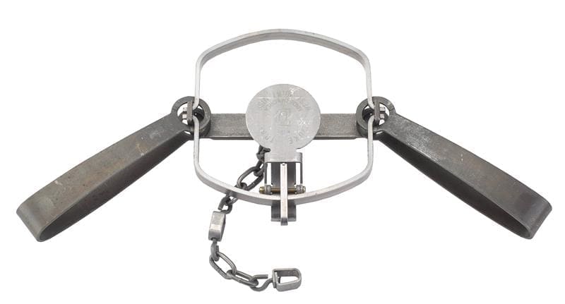 Duke #5 double long spring trap, model 0350, shown open with two long springs and an attached chain