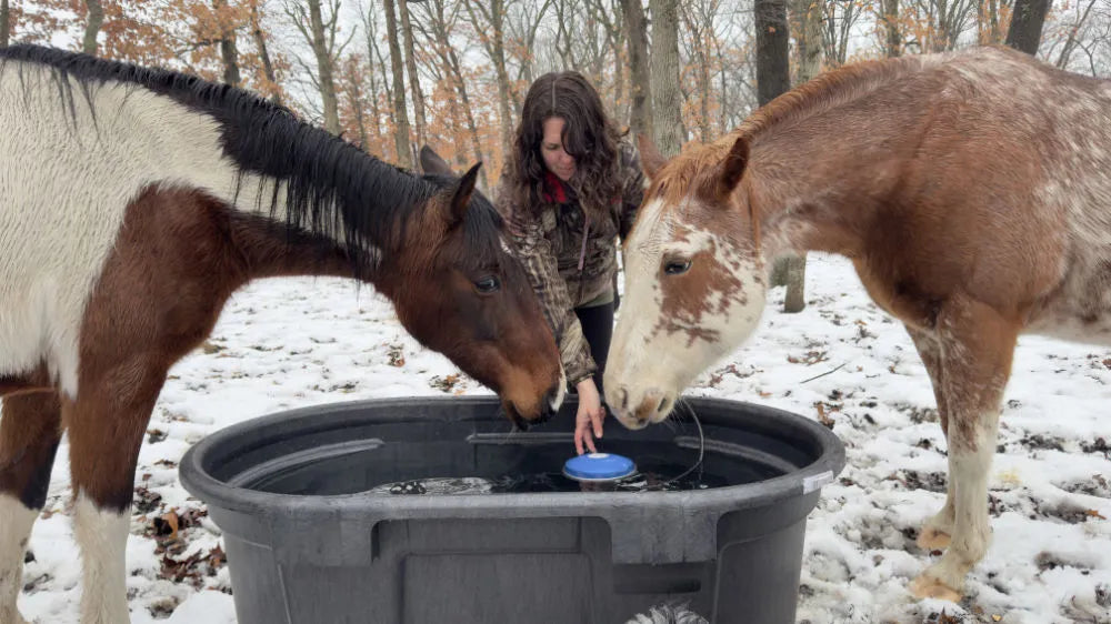 Two horses drinking from an outdoor water tank with an Ice-N-Easy floating de-icer in winter