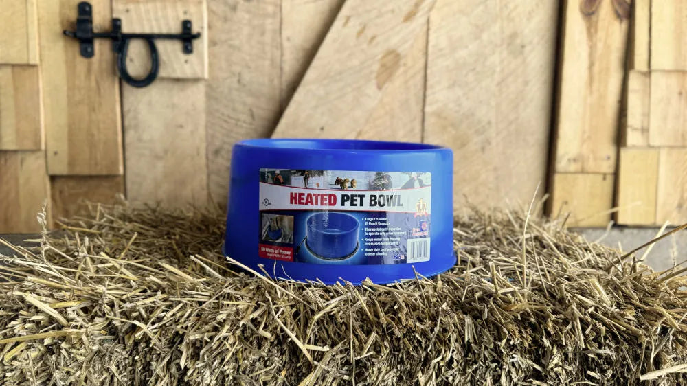 Blue Farm Innovators Heated Pet Bowl on a hay bale