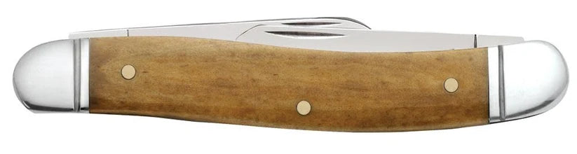 Reverse side of closed Case Smooth Antique Bone Medium Stockman knife showing the bone handle