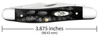 Case Jigged Buffalo Horn Muskrat knife showing 3.875-inch closed length