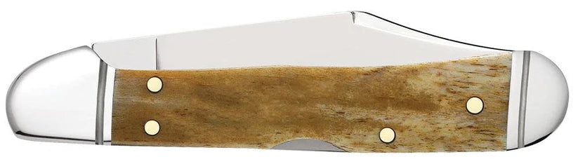 Reverse side of closed Case Smooth Antique Bone Mini CopperLock knife showing the bone handle