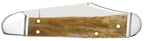 Reverse side of closed Case Smooth Antique Bone Mini CopperLock knife showing the bone handle