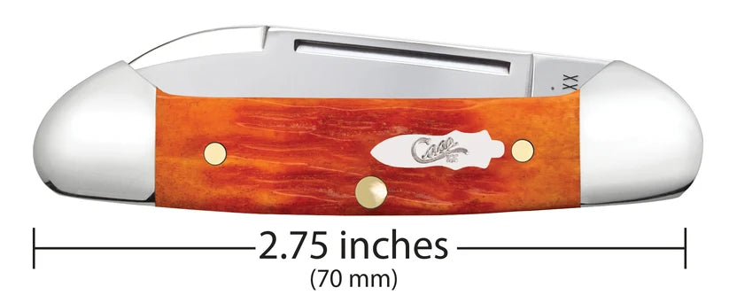 Closed Case Tequila Sunrise Bone Baby Butterbean showing its 2.75-inch length