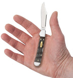 Case Mini CopperLock knife showing its Smooth Black Curly Oak Wood handle