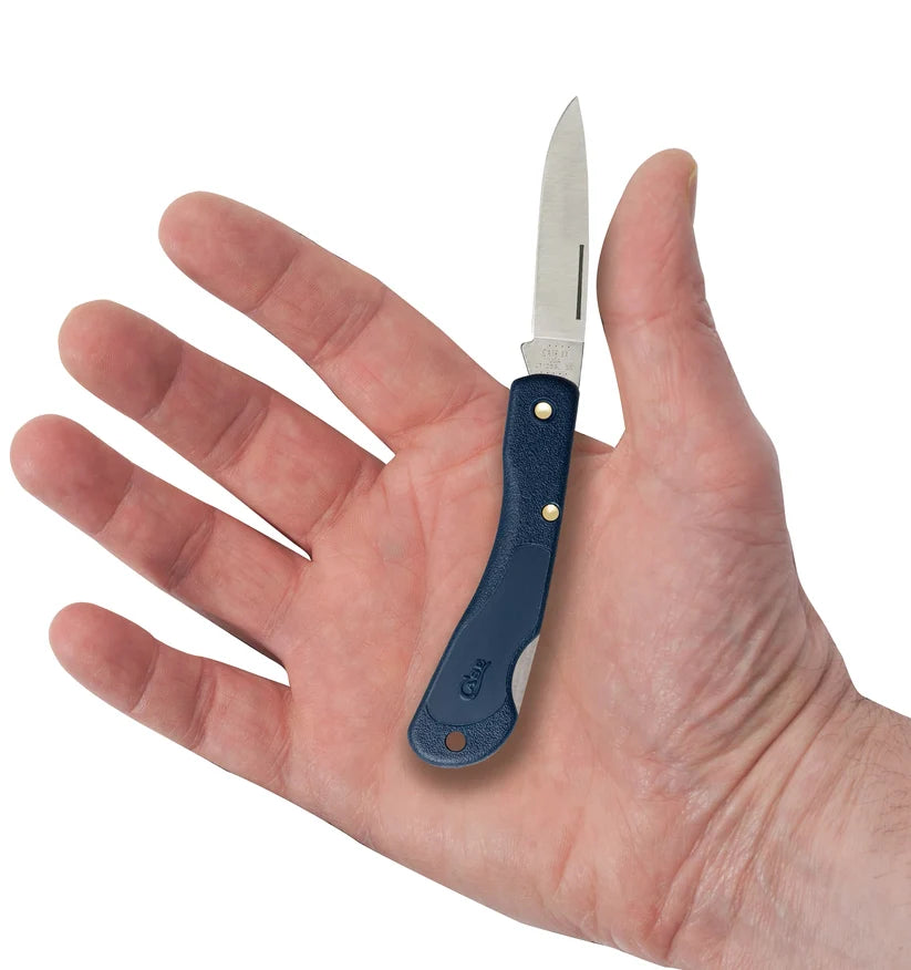 Case Mini Blackhorn blue-handle pocket knife open in hand