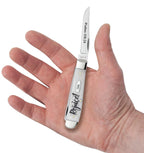 Case Rejoice Embellished Smooth Natural Bone Mini Trapper pocket knife held in a hand with one blade open, showing its pocket size