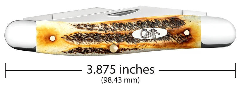 Case 6.5 BoneStag Muskrat knife showing 3.875-inch closed length