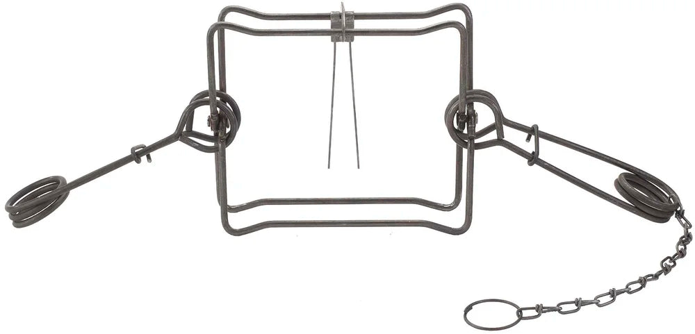 Duke #330 body grip trap with springs and chain.