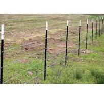 Wire fence supported by green T-posts along a grassy field.