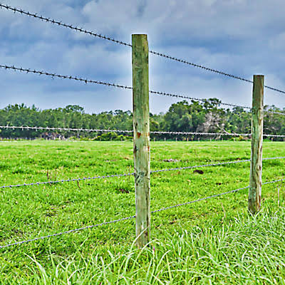 Barbed wire fencing on wooden posts beside a green pasture