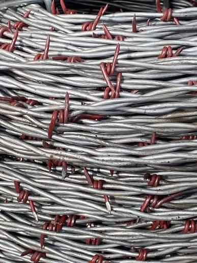 Close-up of twisted steel wire and red four-point barbs
