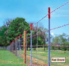 Red Brand barbed wire fence along a grassy field
