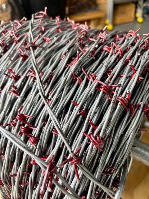 Close-up of coiled barbed wire with red barbs