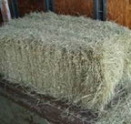 Bermuda hay bale resting on a wooden pallet inside a barn.
