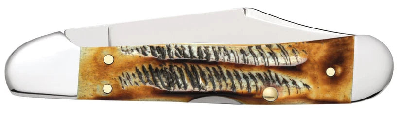 Reverse side of closed Case 6.5 BoneStag Mini CopperLock knife showing jigged bone handle