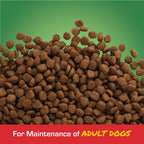 Close-up of brown Sportmix Maintenance mini chunk kibble against a green background with the words For Maintenance of Adult Dogs.