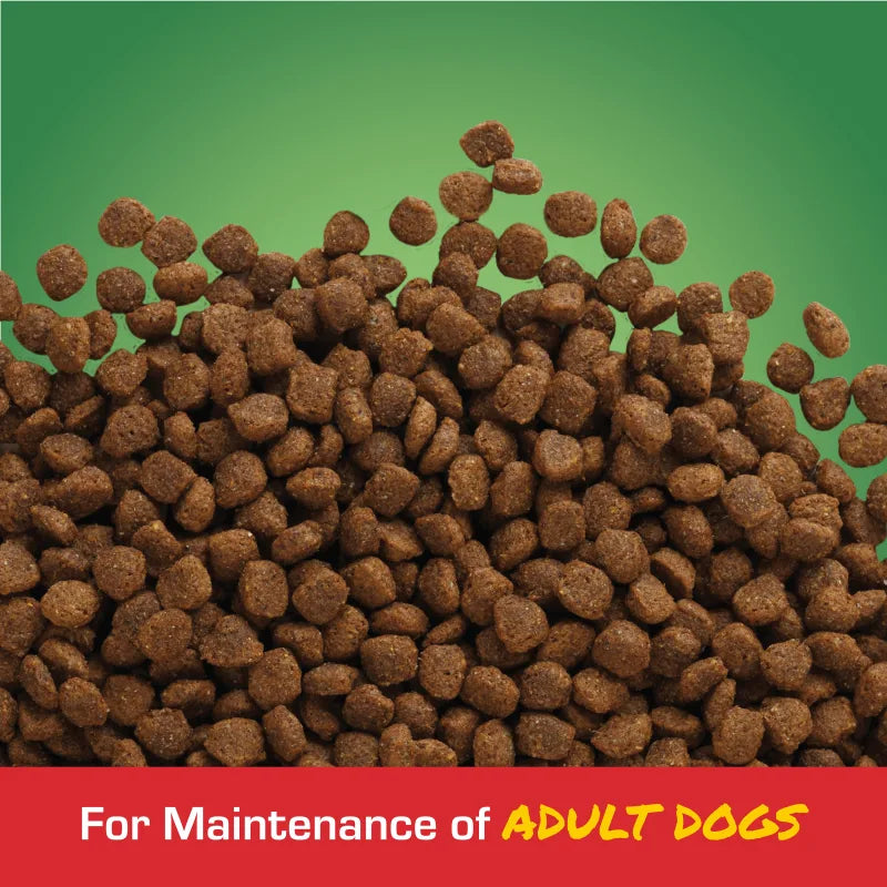 Close-up of brown Sportmix Maintenance mini chunk kibble against a green background with the words For Maintenance of Adult Dogs.