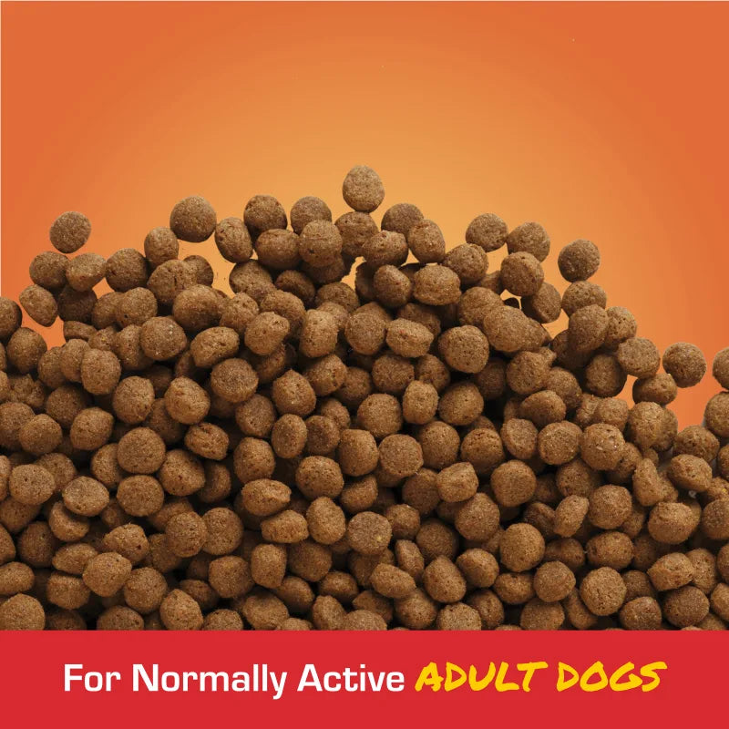 Close-up of Sportmix Bite Size small round kibble for normally active adult dogs
